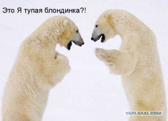 Веселые картинки