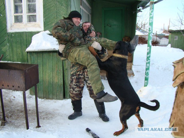 Гренка