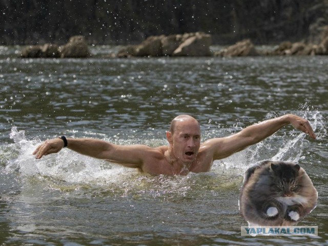 Ну очень жабельно