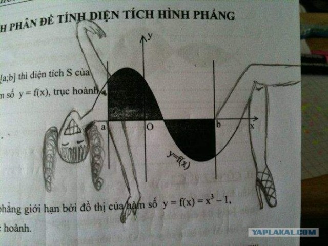 Удачная "групповуха" среди розеток.