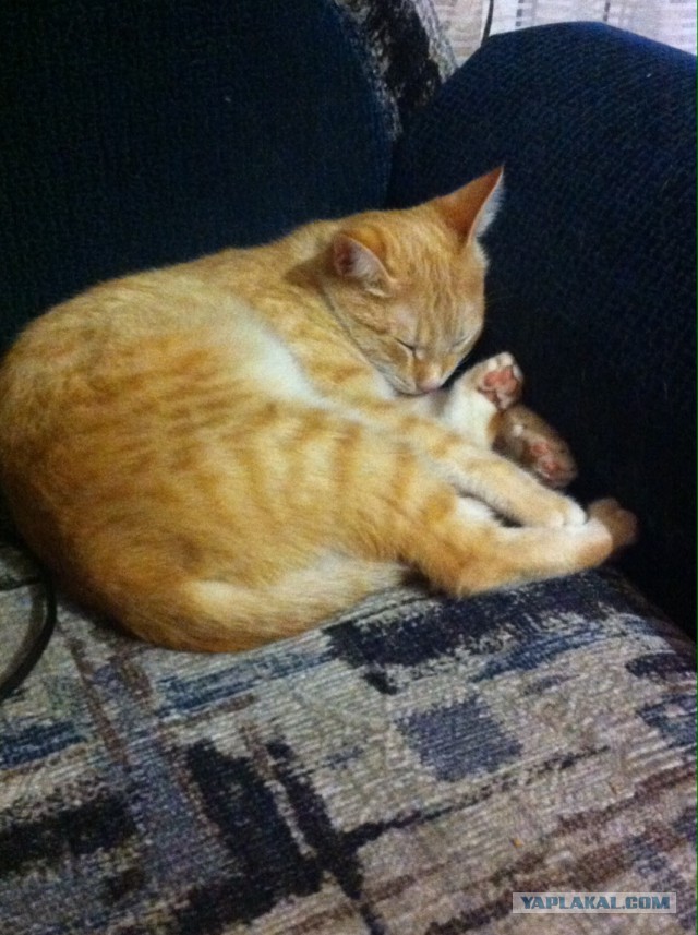 Как я дом строил!