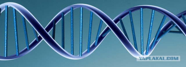 Почему инопланетяне не будут похожи на нас