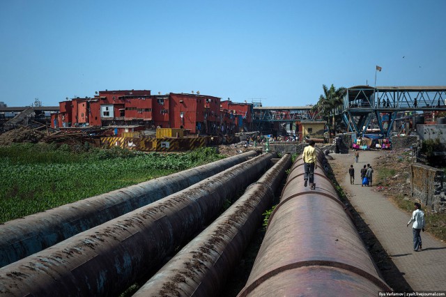 Кадры повседневной жизни в Индии