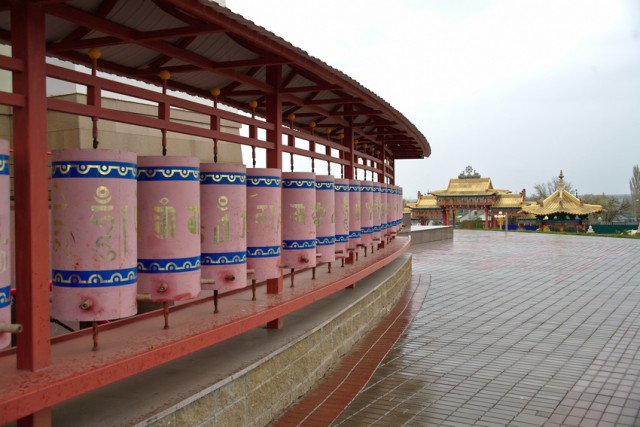 В Элисте борца из Дагестана заставили извиниться за Будду