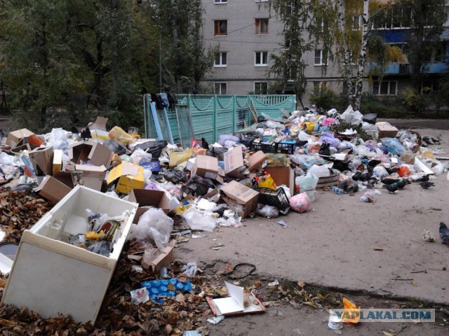 Про собак...