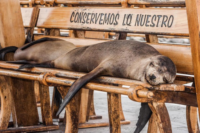 Подборка интересных и веселых картинок