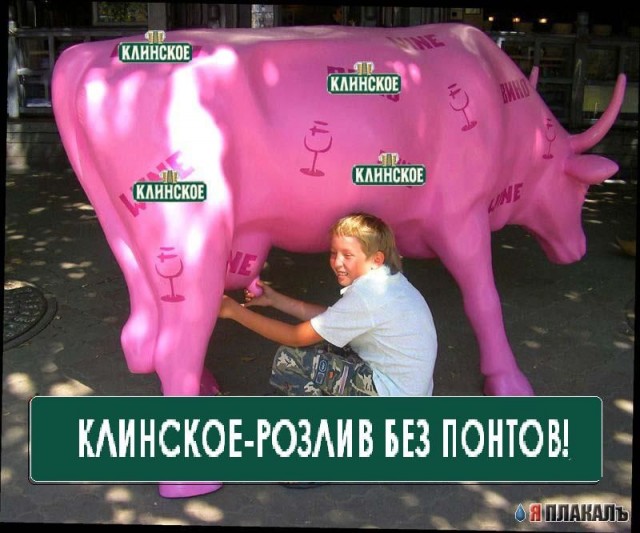 и  скока  ш  карова  дайот  малака?