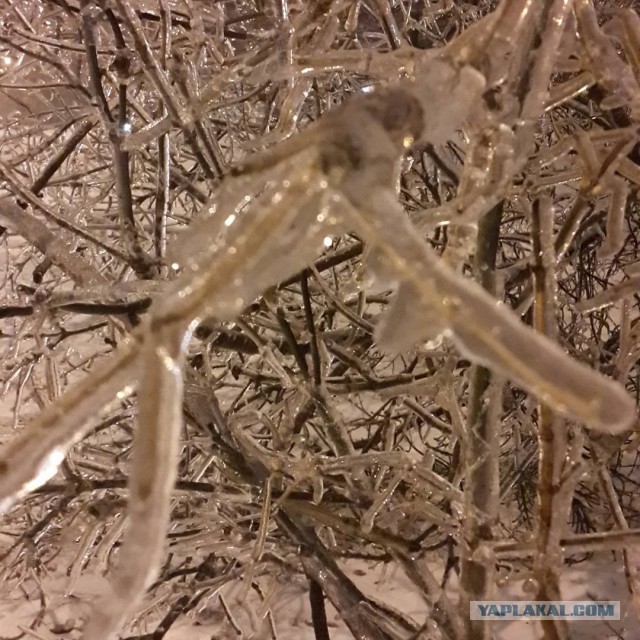 Глобальное потепление.Ну ну