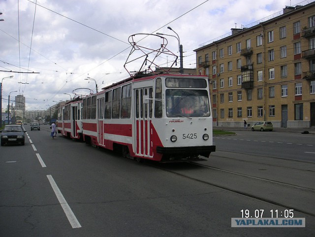 На каких машинах ездят ЯПовцы