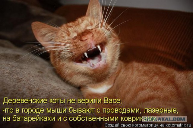 Как сойти за хорошего человека в деревне