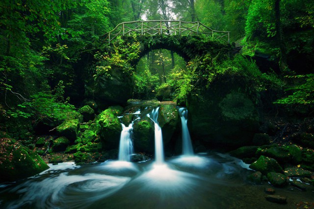 15 удивительных мостов, в которых застыли природа и время