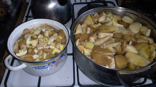 Открыл сезон