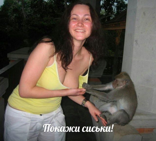 100 картинок для поднятия настроения!