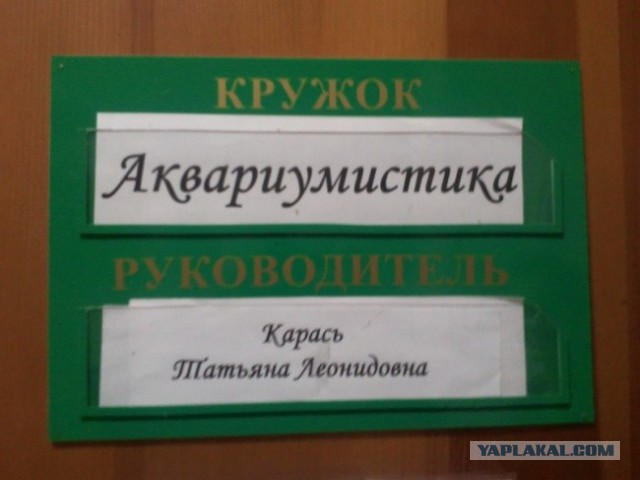 Необычные фамилии. Вот повезло же людям