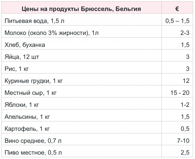 Жизнь в Бельгии: работа, цены, медицина, еда, транспорт
