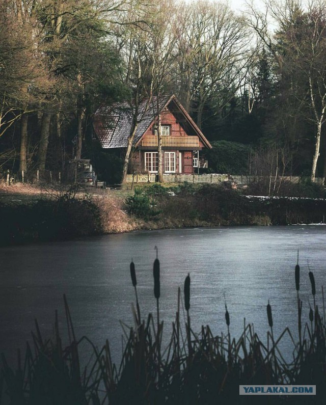 Оплот одиночества