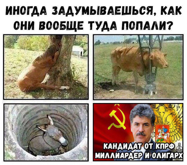 Журналисты Life затроллили Грудинина, которому объявил войну Габрелянов