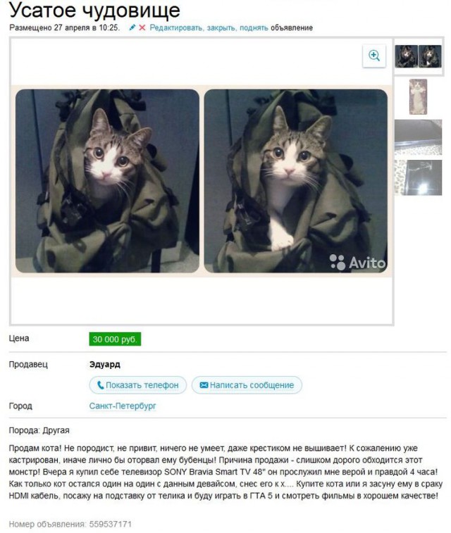 Юмор с сервиса бесплатных объявлений