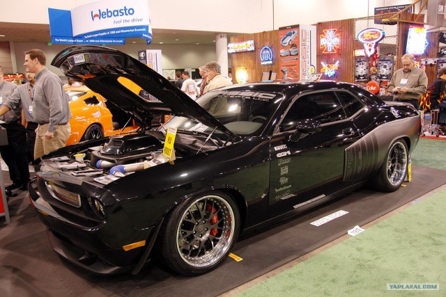 Sema Show 2008 (30 фото)