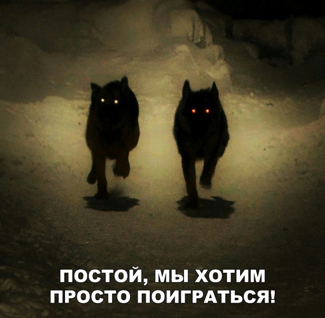 Нестандартный юмор