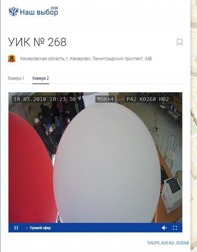 На волне постов о вбросах.
