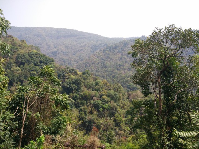 К живым мостам и обратно. Заметки из Индии