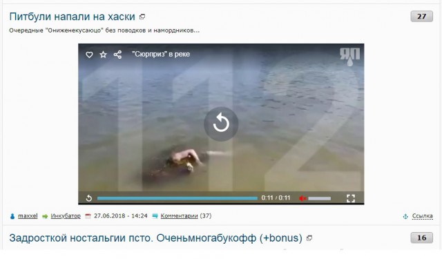 Питбули напали на хаски