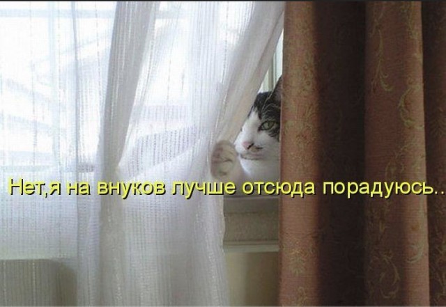 Нестандартный юмор