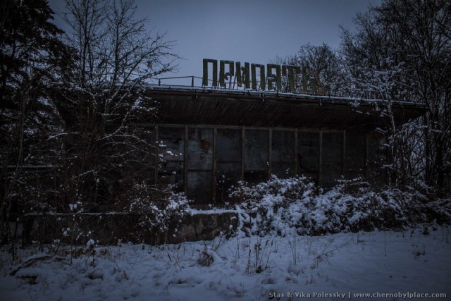 Камеры-ловушки в Чернобыльской зоне показали нечто невероятное