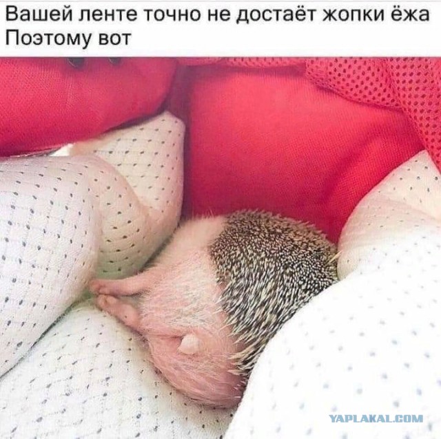 Немного картинок для настроения