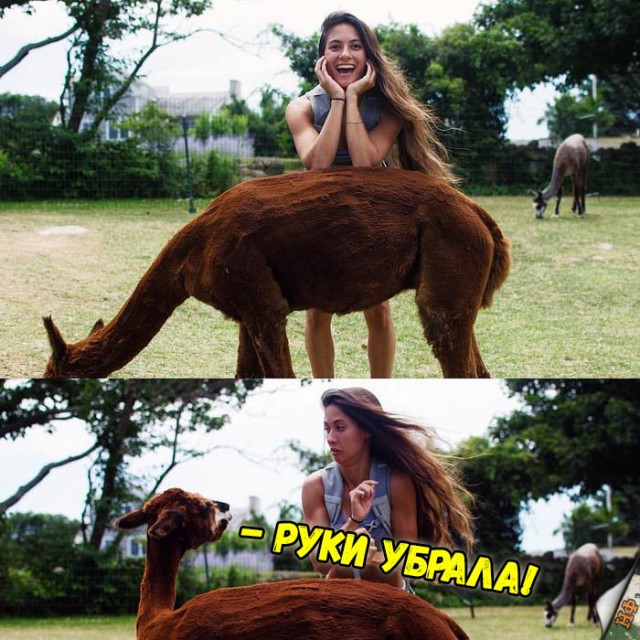 Прикольные картинки абавсём
