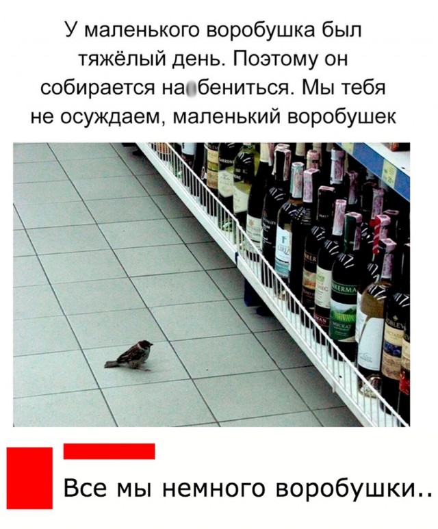 Традиционный пятничный алкопост