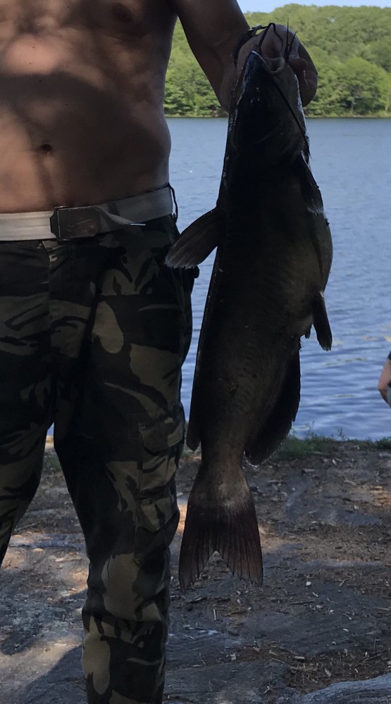 Рыбалка удалась