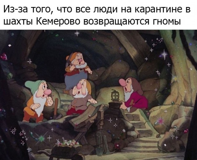 Карантинки