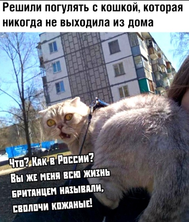 Женщины с низкой социальной ответственностью - меняются в браке или нет?