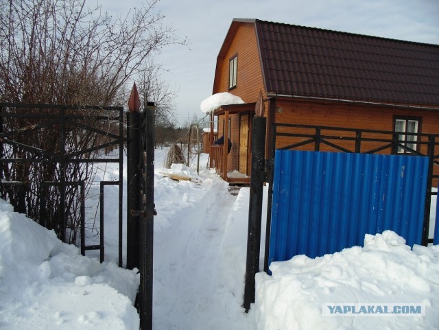 Дача, грибы, мясо, овощи.