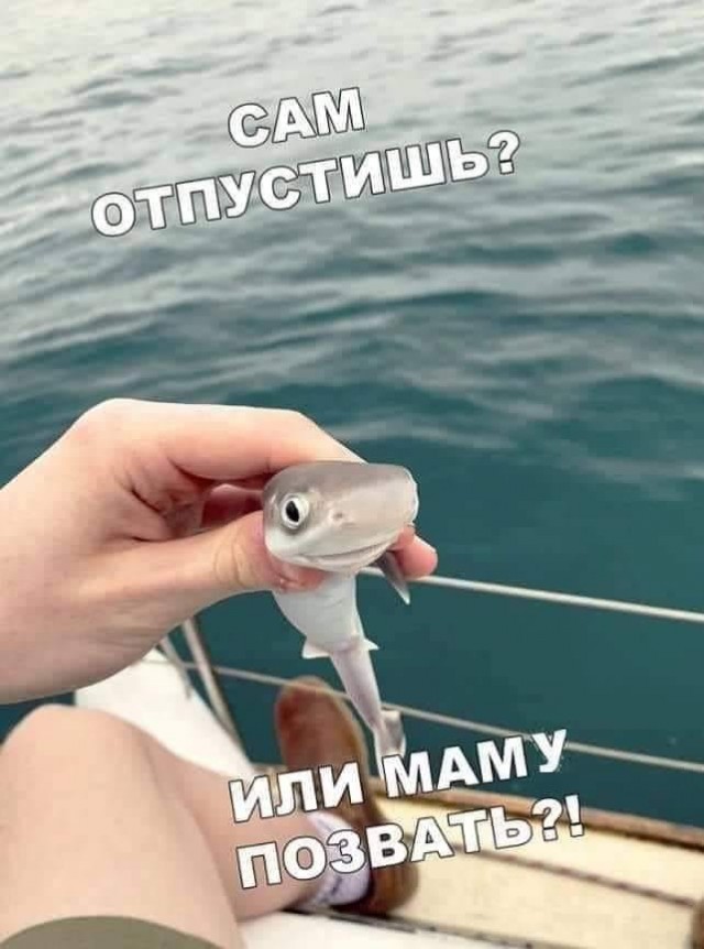 Свежая порция кретинизмов на одну страницу 4.06.2020
