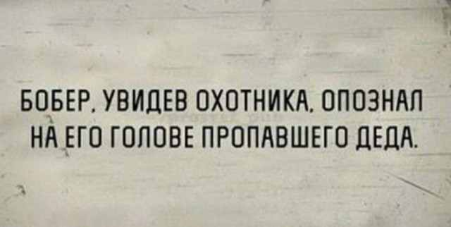 Юмор в картинках