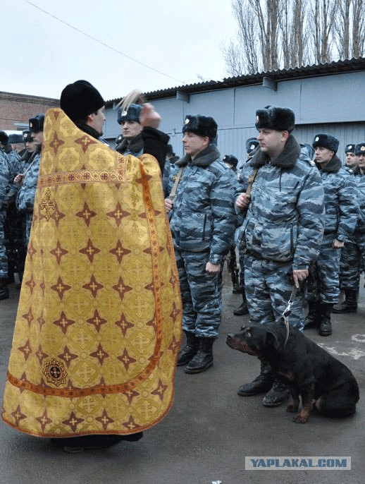 Во имя отца, сына....