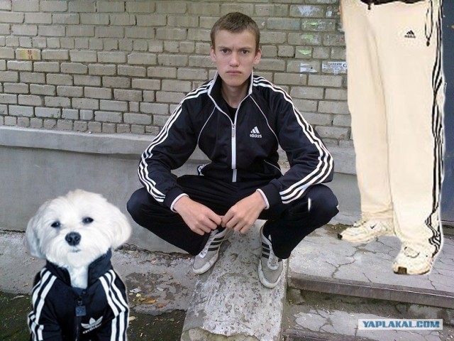 Гроза Района !