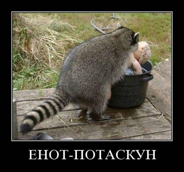Пятничное-ночное, субботнее-утреннее