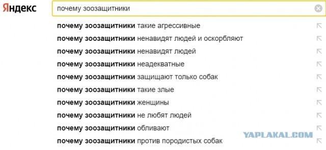 "Дети плакали, взрослые кричали": В Кировске на глазах у юных лыжников священник застрелил их любимицу - собаку Фросю