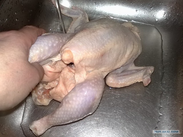 Курица и все из нее!
