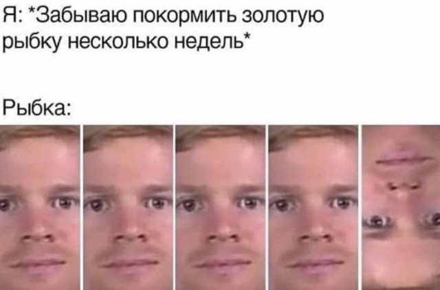Весёлый полтишок 18.07