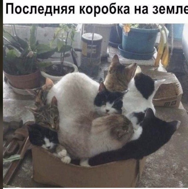 Картинки и мемы для настроения 18.08.2021