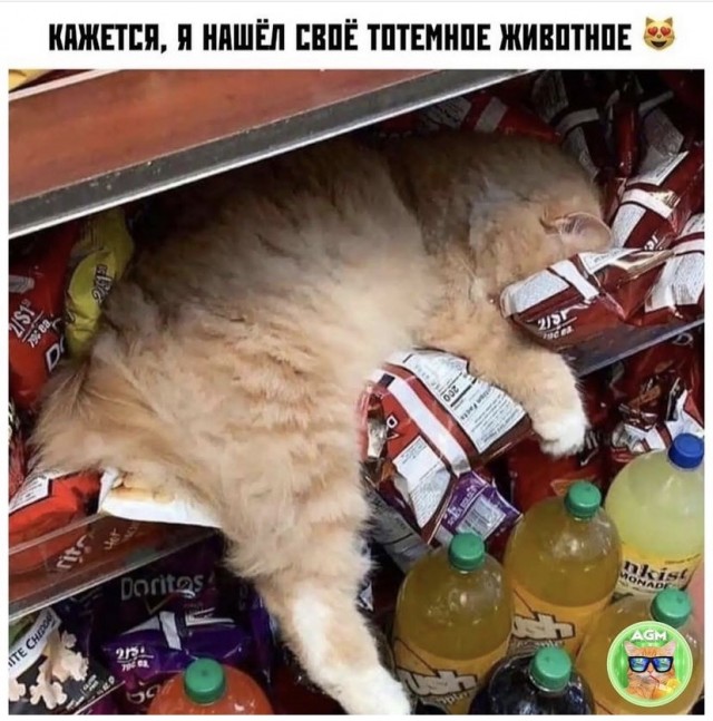 Картинки и мемы, всем прекрасных выходных
