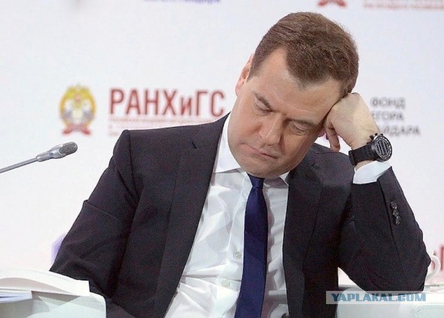 Анальный секс понижает уровень IQ у чиновников