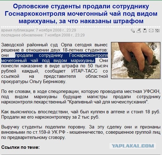 Орловские студенты знают толк в траве