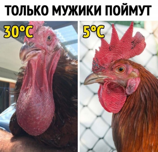 Картинки с лёгким сексуальным намеком