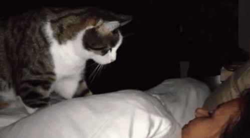 Ну, понеслась!